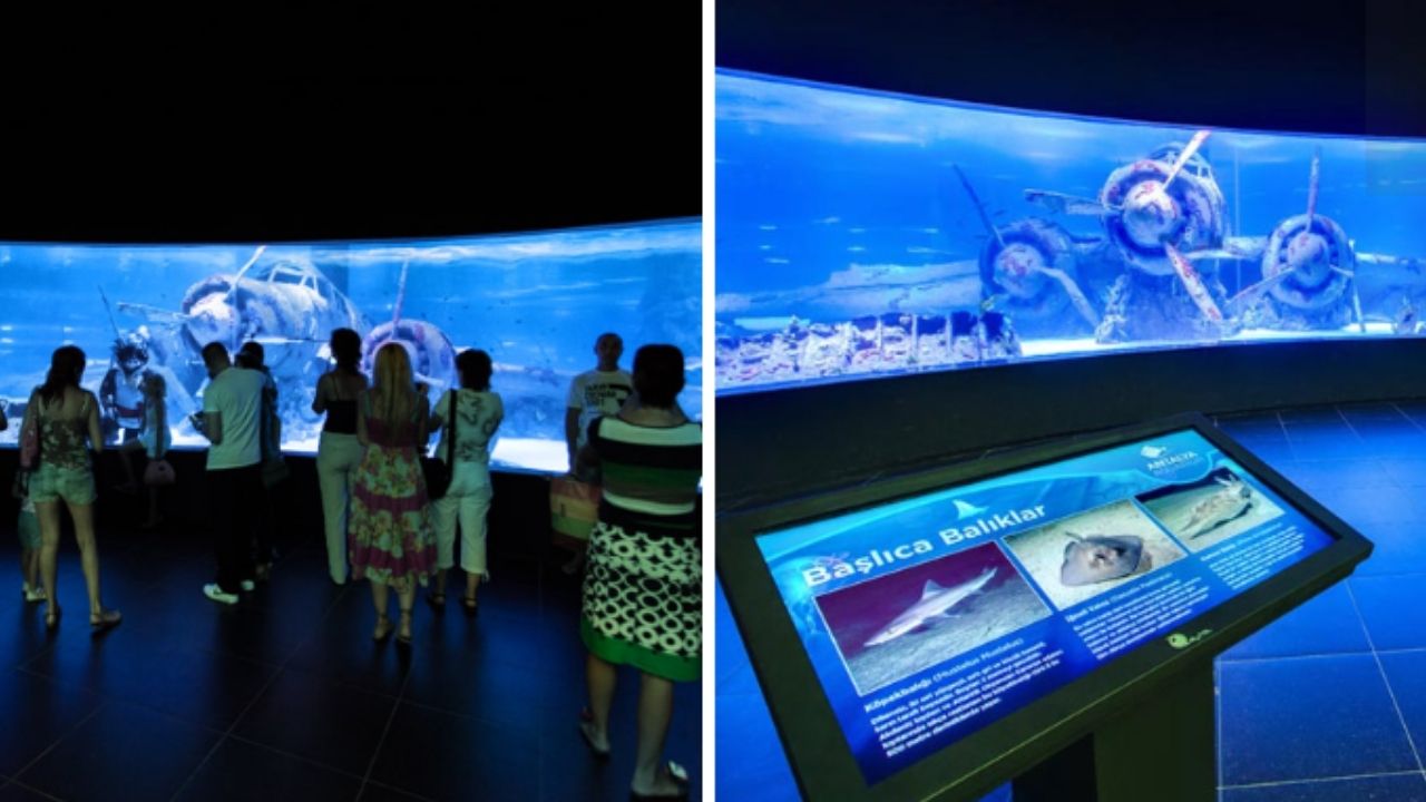 Antalya Akvaryum Yarıyıl Tatilinde Kimlere Ücretsiz?