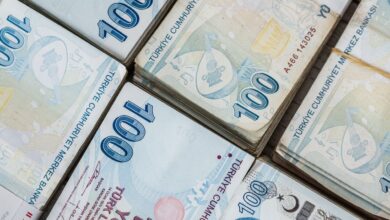 Okul Pansiyon Gelirlerinin Yüzdelik Dağılımı