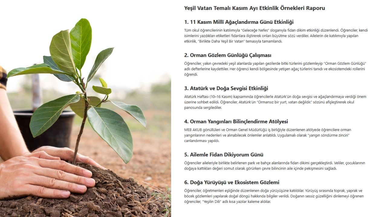 Yeşil Vatan Temalı Kasım Ayı Etkinlik Örnekleri Raporu