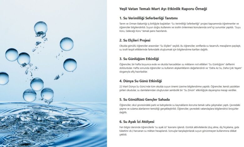 Yeşil Vatan Temalı Mart Ayı Etkinlik Raporu Örneği