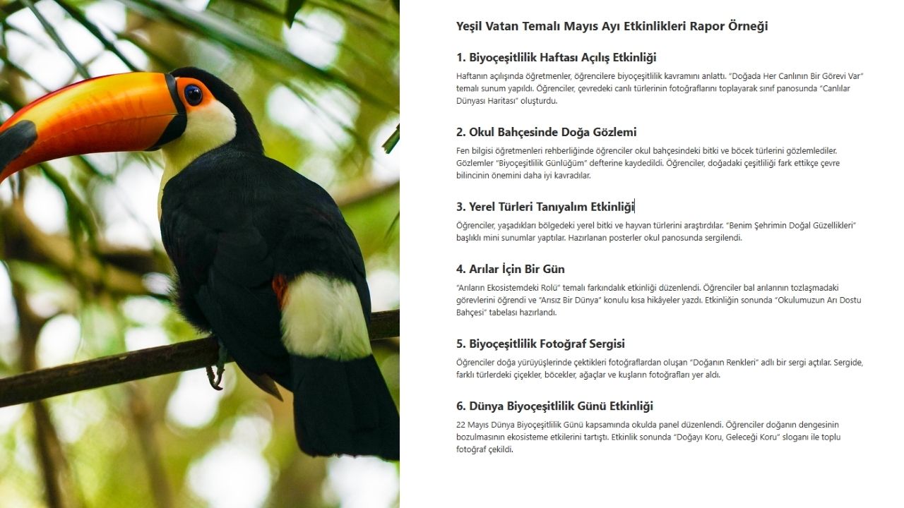Yeşil Vatan Temalı Mayıs Ayı Etkinlikleri Rapor Örneği