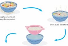 Tohum Topu Etkinliği Uygulama