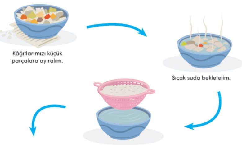 Tohum Topu Etkinliği Uygulama